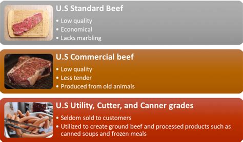 all of the following are beef quality grades except: